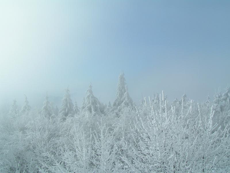 PICT9514.JPG