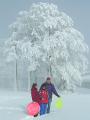 PICT9506