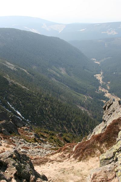 IMG_8431.JPG