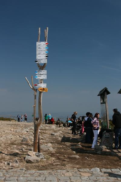 IMG_8441.JPG