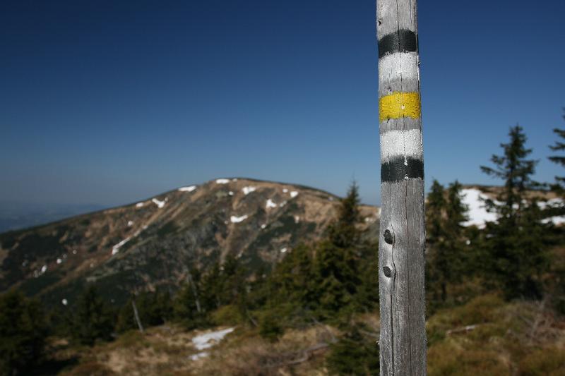 IMG_8529.JPG