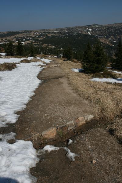 IMG_8548.JPG