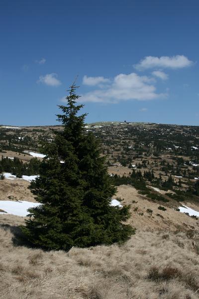 IMG_8572.JPG