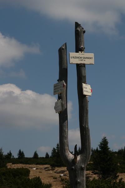 IMG_8611.JPG