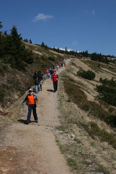 IMG_8622.JPG