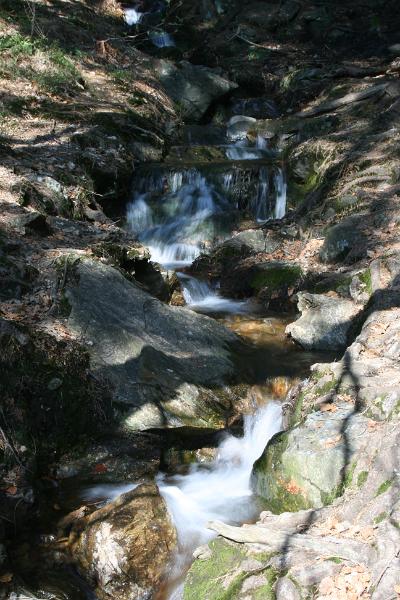 IMG_8632.JPG