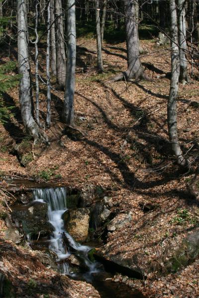 IMG_8645.JPG