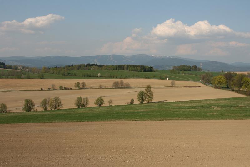 IMG_8656.JPG