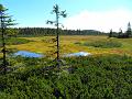 SAM_0084