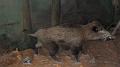 SAM_0174