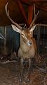 SAM_0176