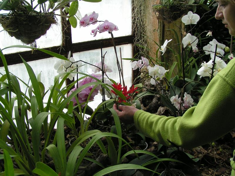 PICT9836.JPG