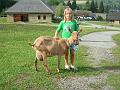 NTatry_02