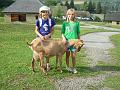 NTatry_03