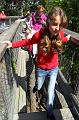 SAM_1269